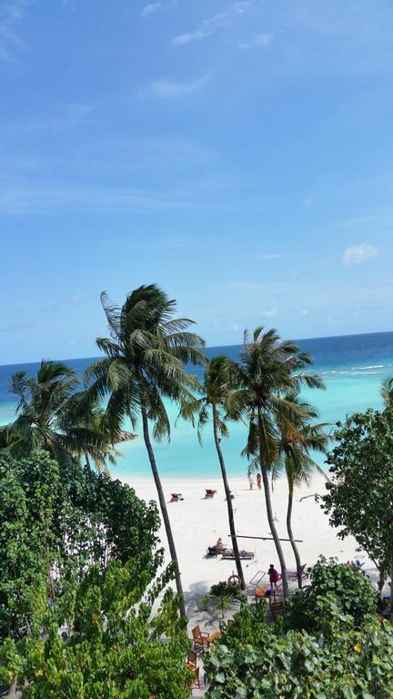 Seashore Affittacamere 3*