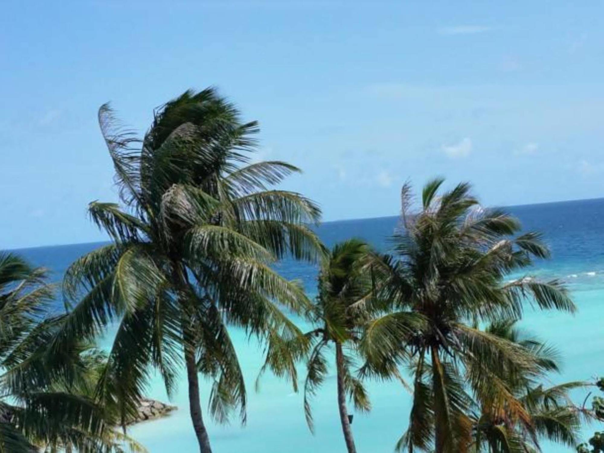 Affittacamere Seashore Maafushi